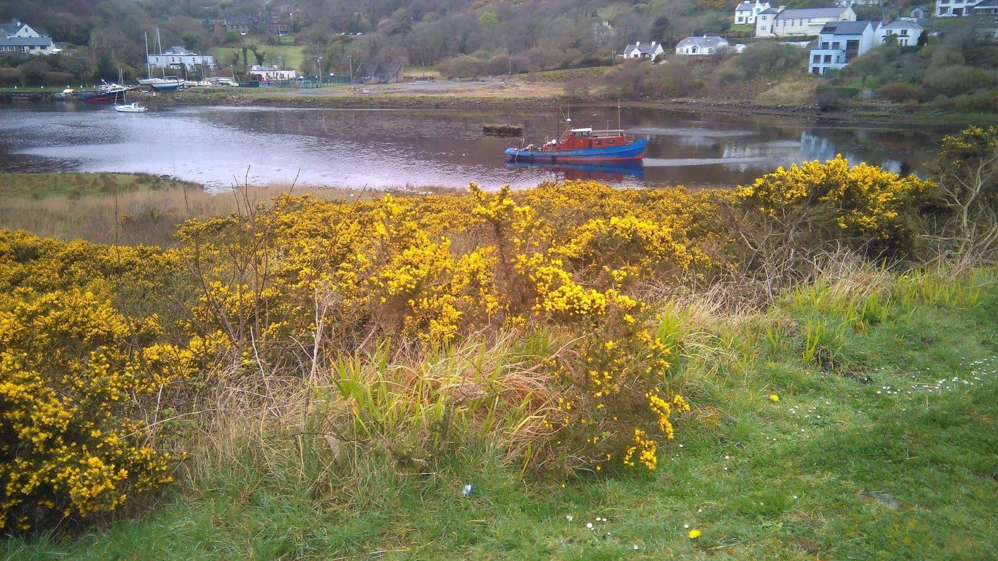 Clifden Apartment Bagian luar foto
